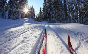 Как встать на лыжи: три главных совета олимпийца