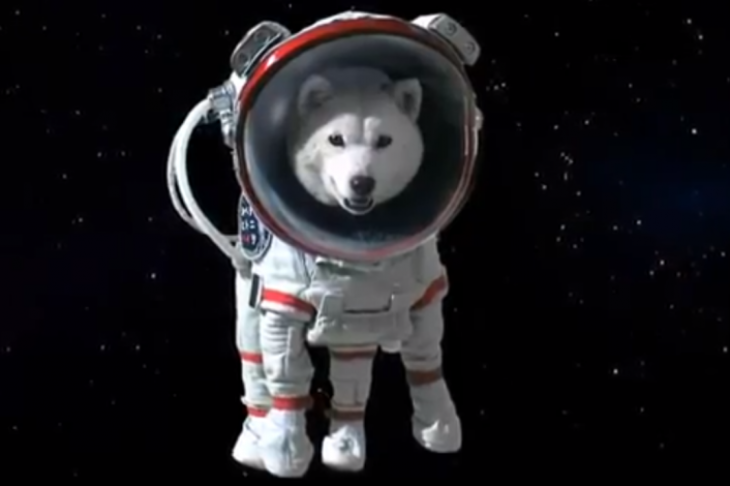 В Екатеринбурге устроят парад собак-космонавтов
