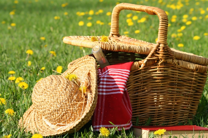 20 идей, как сделать пикник удобным