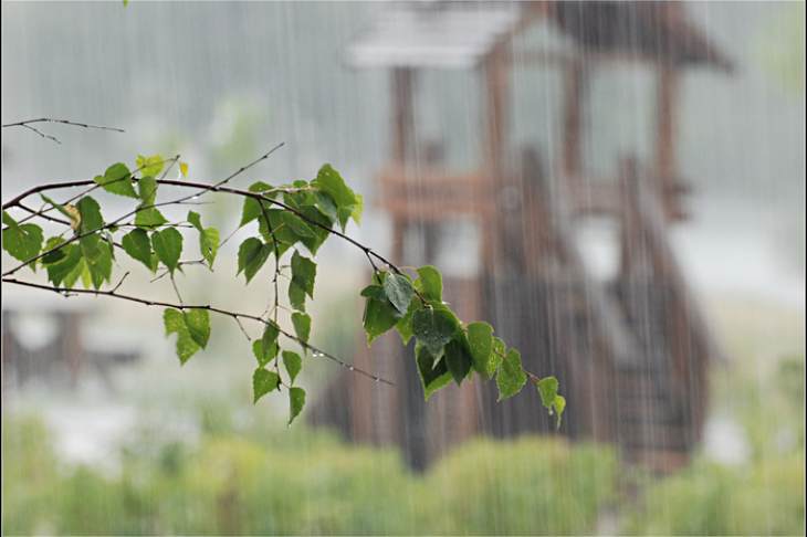 В Екатеринбурге ожидаются дожди и похолодание