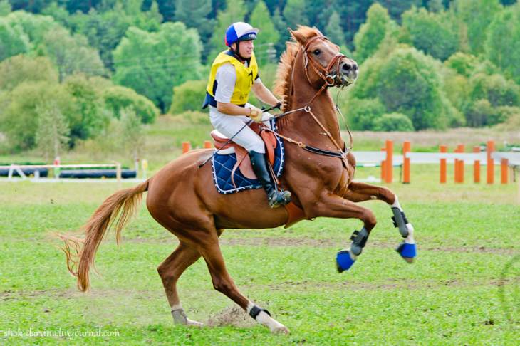 Под Екатеринбургом пройдут состязания по конному троеборью