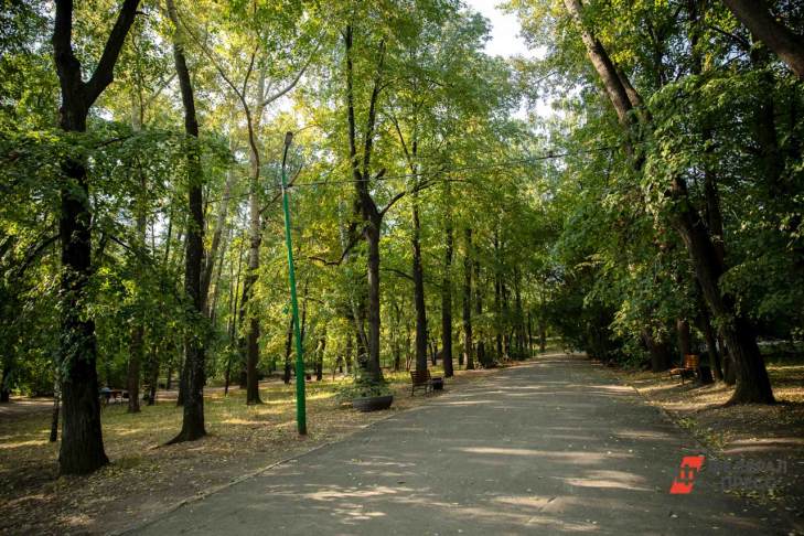 ​Мэр Екатеринбурга планирует открыть парк УрГУПС для горожан