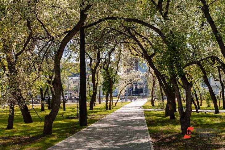 ​Два парка Екатеринбурга могут благоустроить в 2022 году