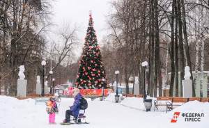 К Новому году в Парке Маяковского появится 22-х метровая елка