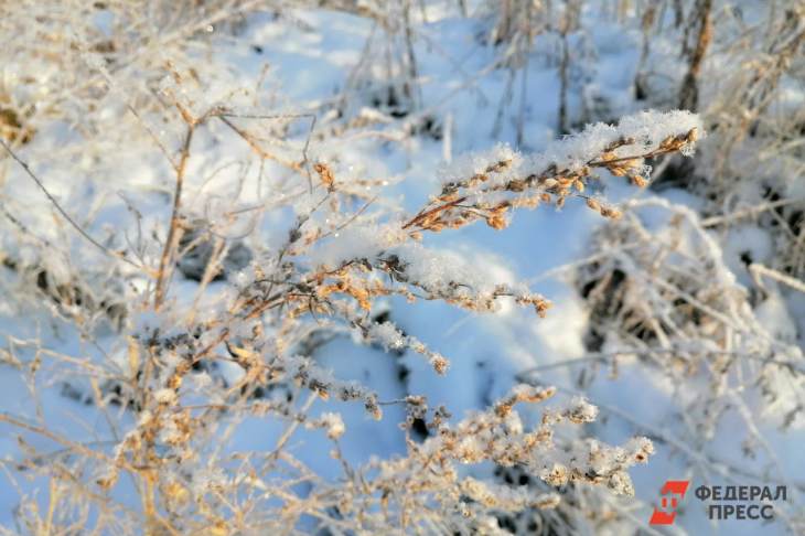 На Урал надвигаются 30-градусные морозы