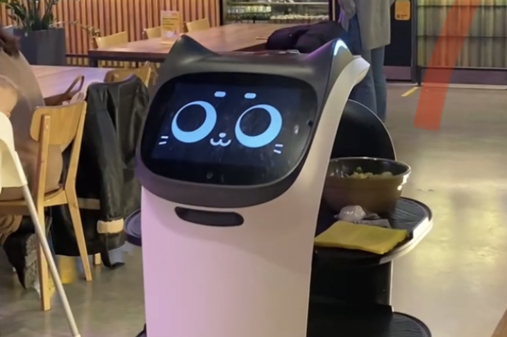 На фудмаркете Estory в «Гринвиче» появился кот-робот