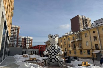 Медведь Гриша поселился во Втузгородке