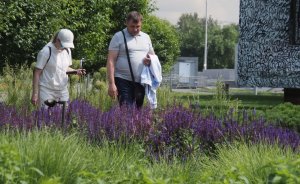 В Екатеринбурге открывают летнюю программу Сада трав