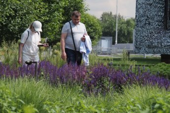 В Екатеринбурге открывают летнюю программу Сада трав