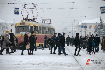 Цена на проезд в наземном транспорте не вырастет
