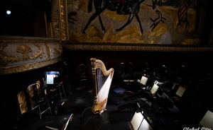 «Урал Опера Балет» потратит 40 миллионов на новые музыкальные инструменты