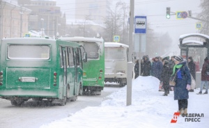 Еще три автобуса будут ходить до станции метро «Ботаническая»