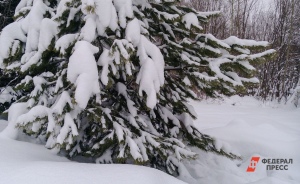 В Екатеринбург возвращается зимняя погода