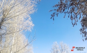 В Екатеринбург придут холода и снег