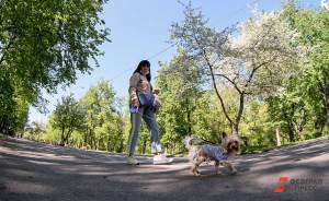 Жители Екатеринбурга смогут высказать свое мнение о благоустройстве парка за Дворцом молодежи