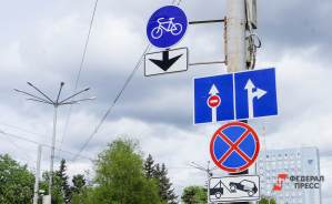 На нескольких улицах Екатеринбурга появится знак «Остановка запрещена»