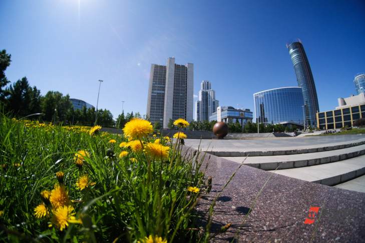 В Екатеринбурге весь август горожане будут проводит авторские прогулки по Солнечному