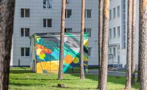 Во дворе больницы в Екатеринбурге появился яркий арт-объект