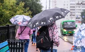 Начало недели в Екатеринбурге будет дождливым