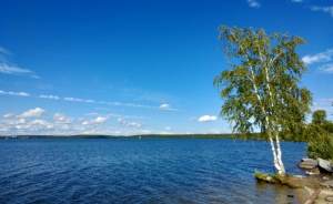 У жителей Екатеринбурга появился новый проход к озеру Шарташ