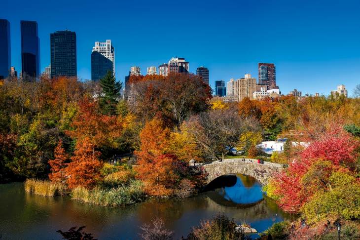 ​В Академическом может появиться парк, как Central Park в Нью-Йорке