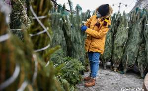 ​В Екатеринбурге открываются пункты приема новогодних деревьев