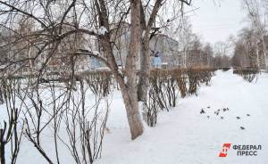 ​На следующей неделе в Свердловской области ожидается резкое похолодание