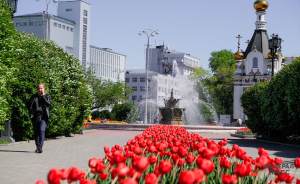 ​К началу лета клумбы Екатеринбурга украсят цветами