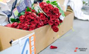 ​В Екатеринбург привезли 450 тонн цветов из Голландии, Италии и Эквадора