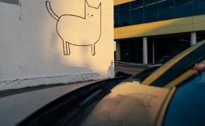 ​В Екатеринбурге появился арт-объект в виде гигантского кота