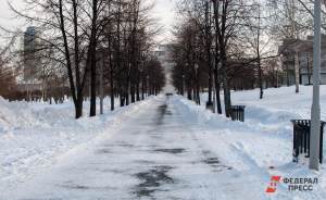 ​Жители Екатеринбурга выберут парк для благоустройства в 2023 году
