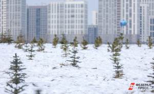 ​В Екатеринбурге выберут парк для благоустройства в 2023 году