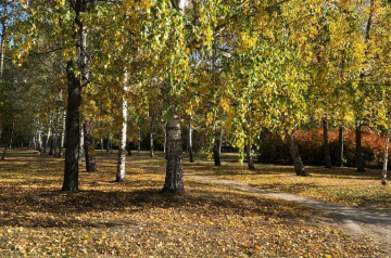 ​Осенняя фотосессия на улицах Екатеринбурга: куда отправиться за красивыми кадрами