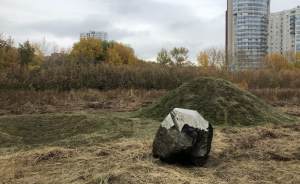 ​На пустыре в Екатеринбурге появился инопланетный арт-объект