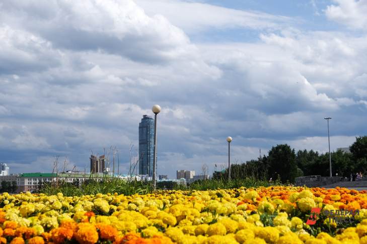 ​Дизайнеры создадут эскизы цветников для Екатеринбурга