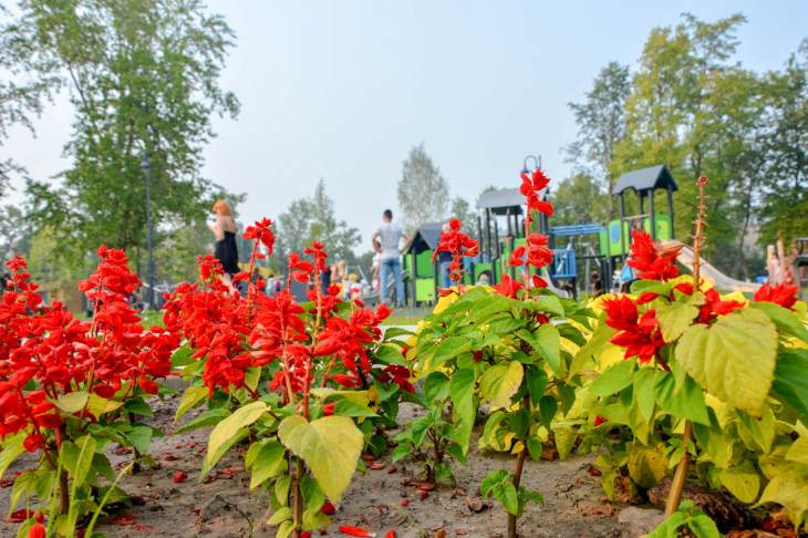 Парк Энгельса благоустроят в Екатеринбурге в 2023 году