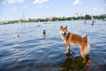 Как провести жаркие выходные в Екатеринбурге: купаемся в бассейнах и загораем на пляжах
