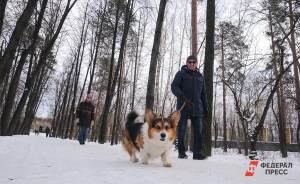 ​Благоустройство летнего парка «Уралмаш» планируют начать в 2024 году