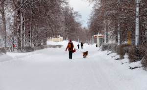 ​В Екатеринбурге зафиксировали самый теплый день января за десять лет