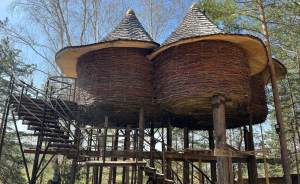 Вблизи Екатеринбурга построили туристические домики в стиле гнезда кукушки