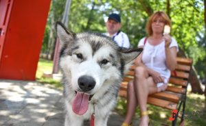 В Екатеринбурге открывается школа для зоородителей