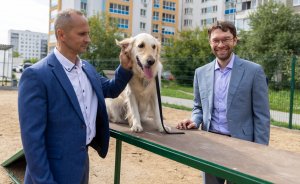 ​В Екатеринбурге появились две современные площадки для выгула собак