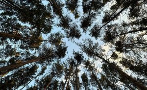 ​Синоптики Екатеринбурга дали прогноз погоды на зиму