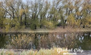 ​В выходные в Екатеринбурге потеплеет до 8 градусов