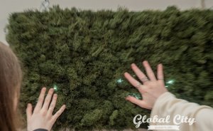 Фестиваль цифрового искусства Play DigitalArt сменит название и границы присутствия