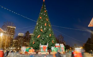 В Парке Маяковского назвали дату старта новогодней программы