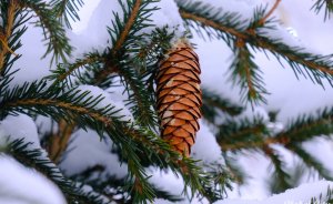 ​В Екатеринбурге пройдет праздник снежных фонарей