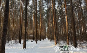 ​Первая рабочая неделя 2026 года в Екатеринбурге начнется с 30-градусных морозов