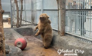 Студенты и Татьяны смогут посетить Екатеринбургский зоопарк бесплатно