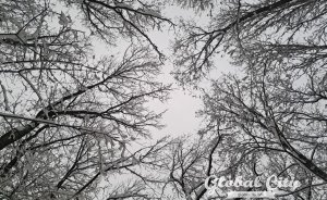 Резкое похолодание ожидается в Екатеринбурге